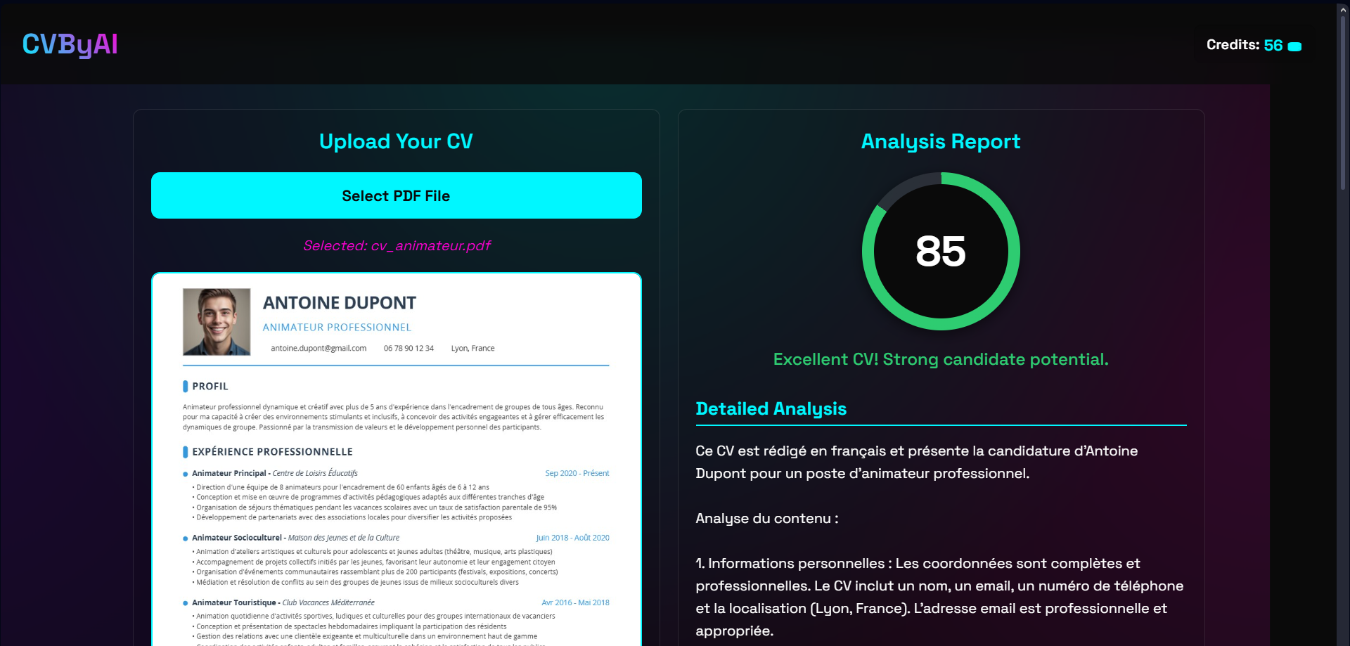 Exemple de CV Animateur analysé
