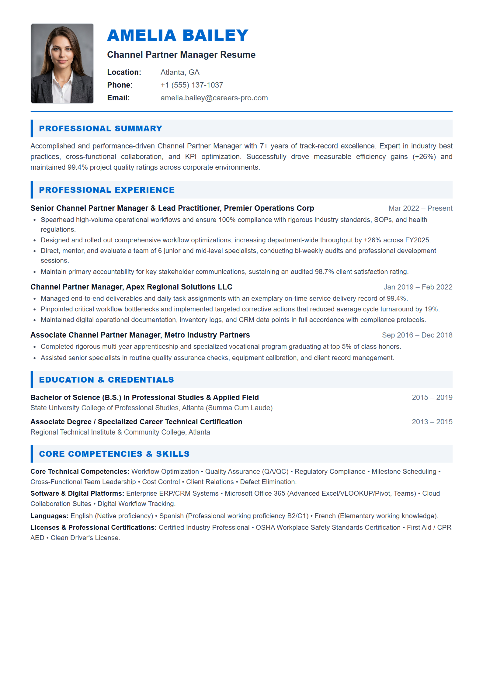 Channel Partner Manager Resume Example