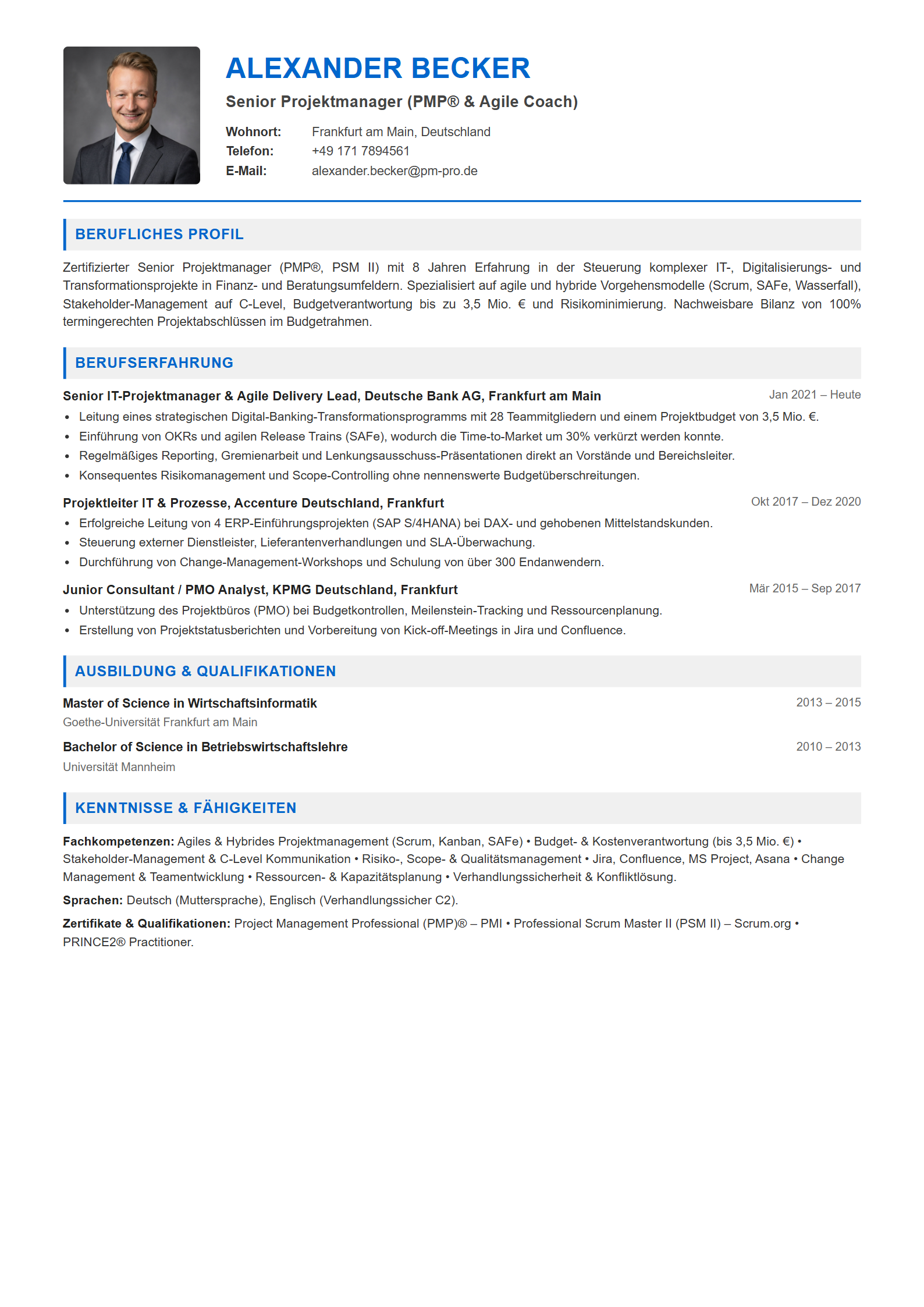 Lebenslauf-Muster Projektmanager / Project Lead