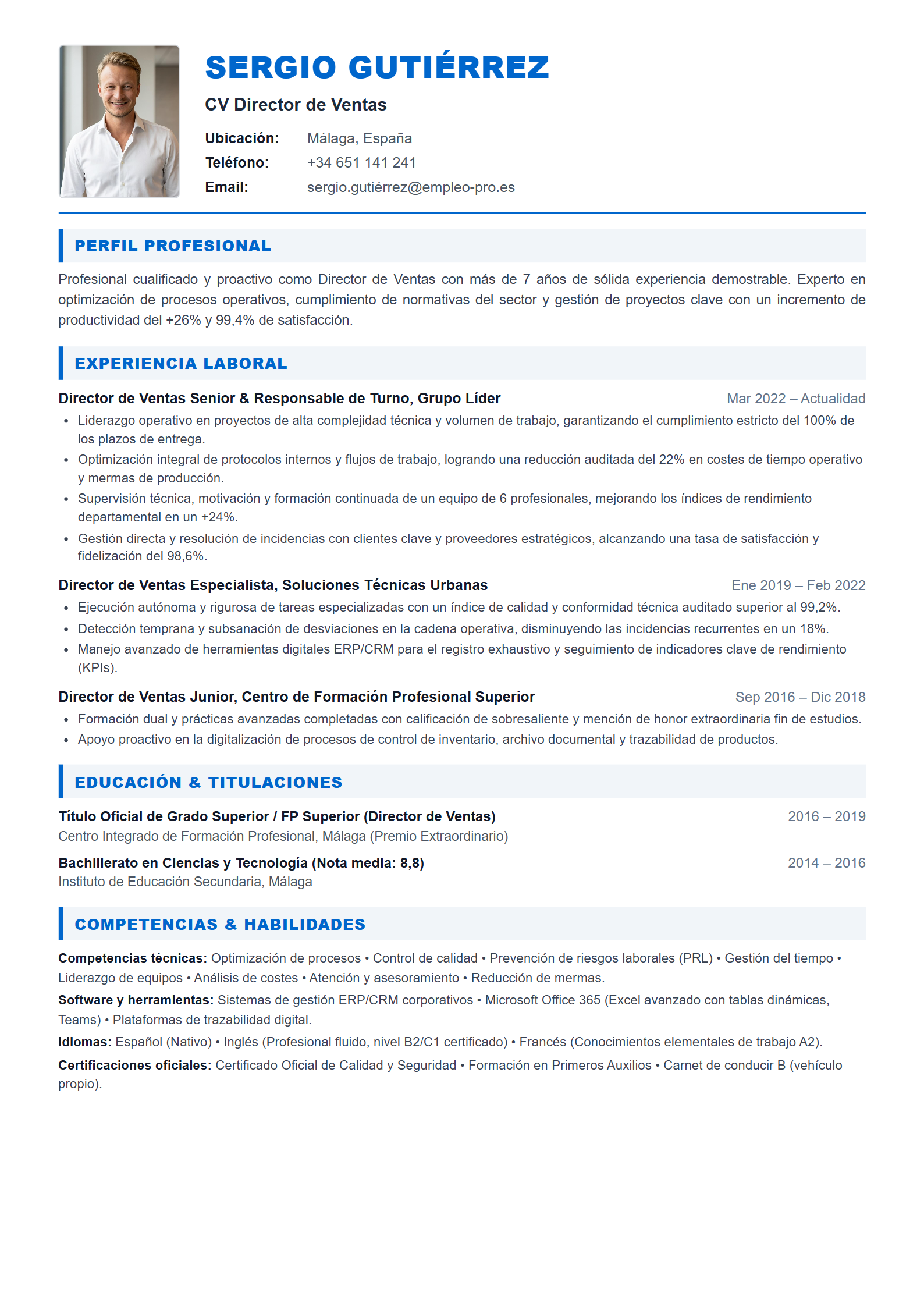 Director de Ventas Resume Example