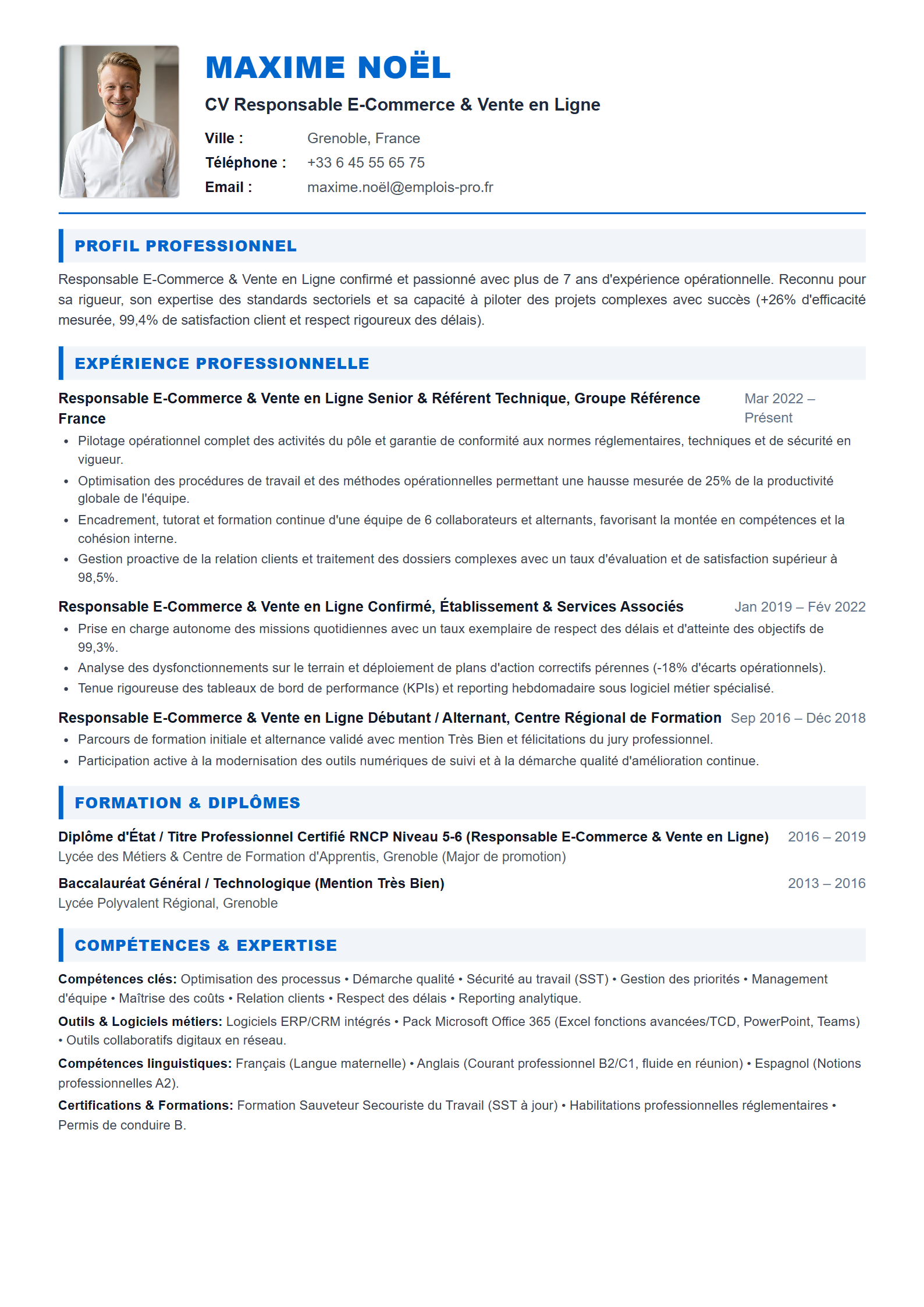 Responsable E-Commerce & Vente en Ligne Resume Example
