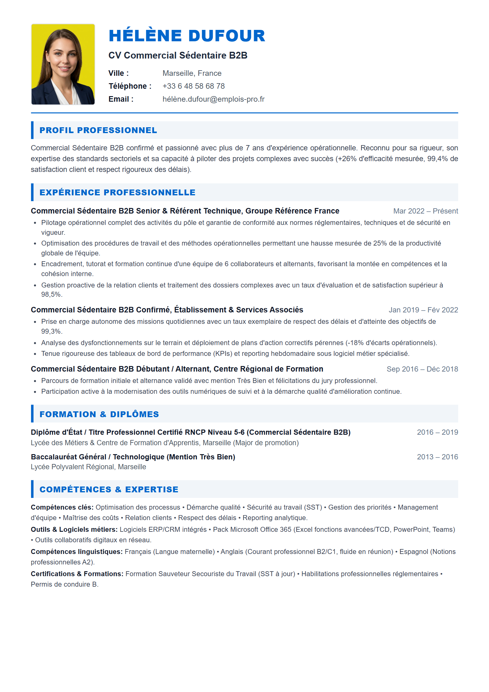 Commercial Sédentaire B2B Resume Example