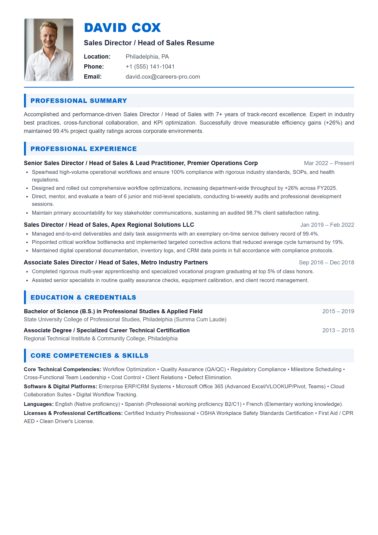 Sales Director / Head of Sales Resume Example